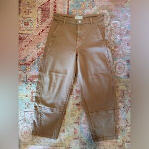 Everlane Utility Barrel Pant in 6 in golden brown